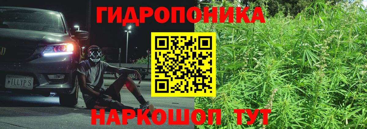 Бошки Шишки Amnesia Чапаевск